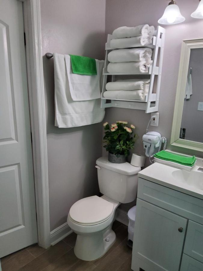 Beautiful Apartment Close To Everything 坦帕 外观 照片