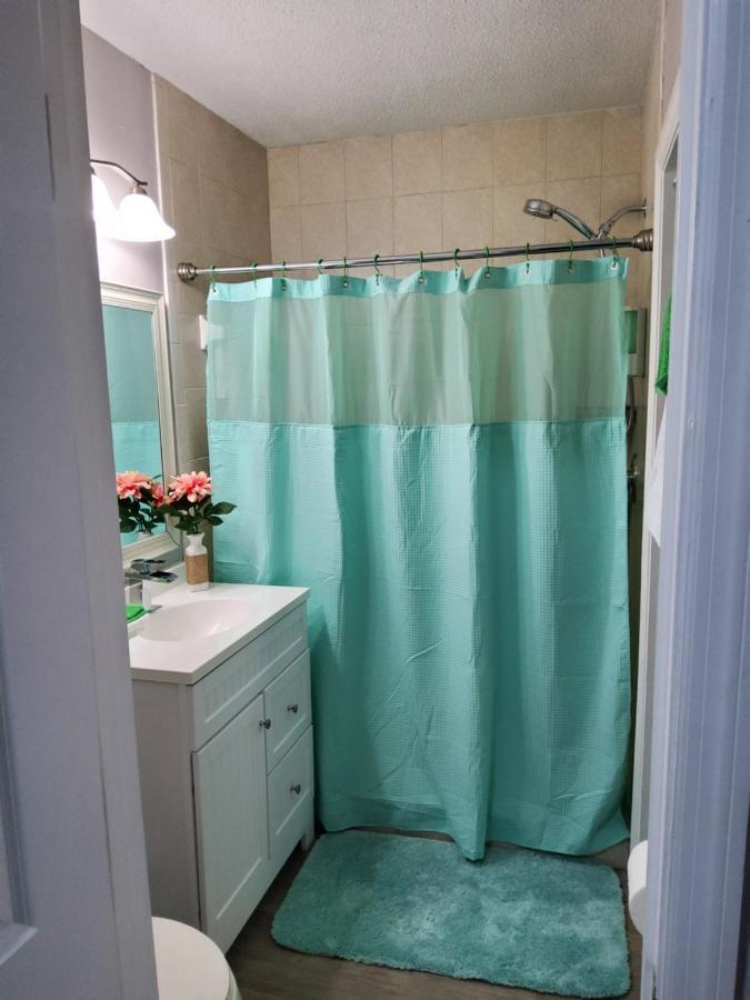 Beautiful Apartment Close To Everything 坦帕 外观 照片