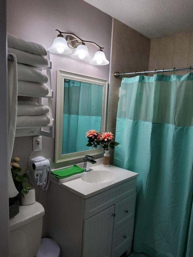 Beautiful Apartment Close To Everything 坦帕 外观 照片