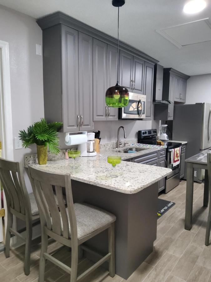 Beautiful Apartment Close To Everything 坦帕 外观 照片