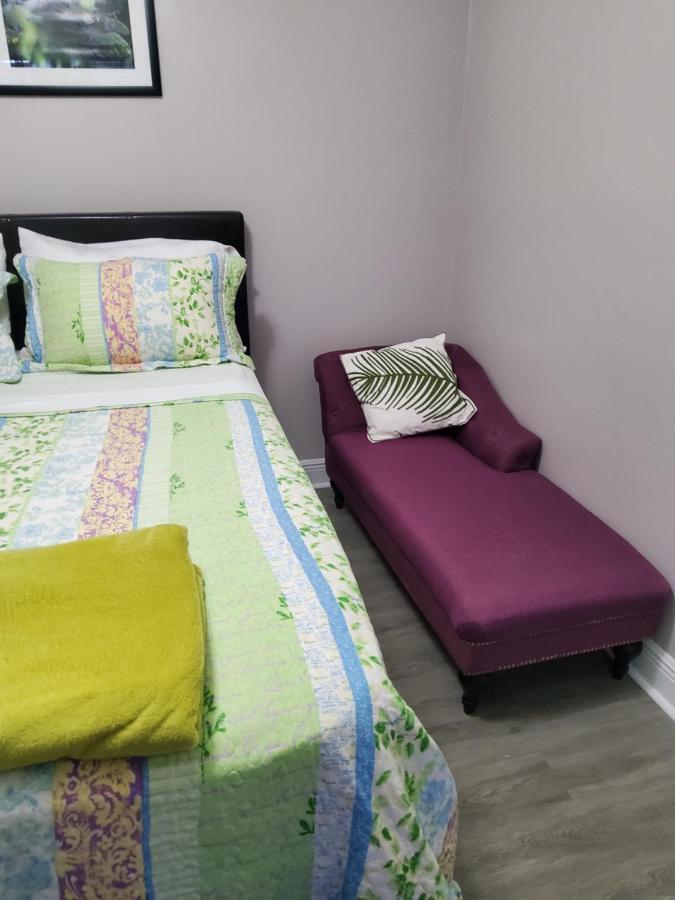 Beautiful Apartment Close To Everything 坦帕 外观 照片