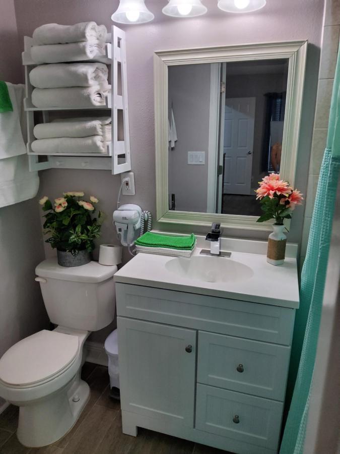 Beautiful Apartment Close To Everything 坦帕 外观 照片
