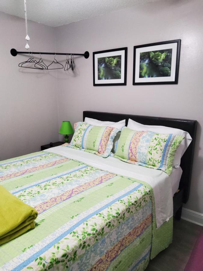 Beautiful Apartment Close To Everything 坦帕 外观 照片